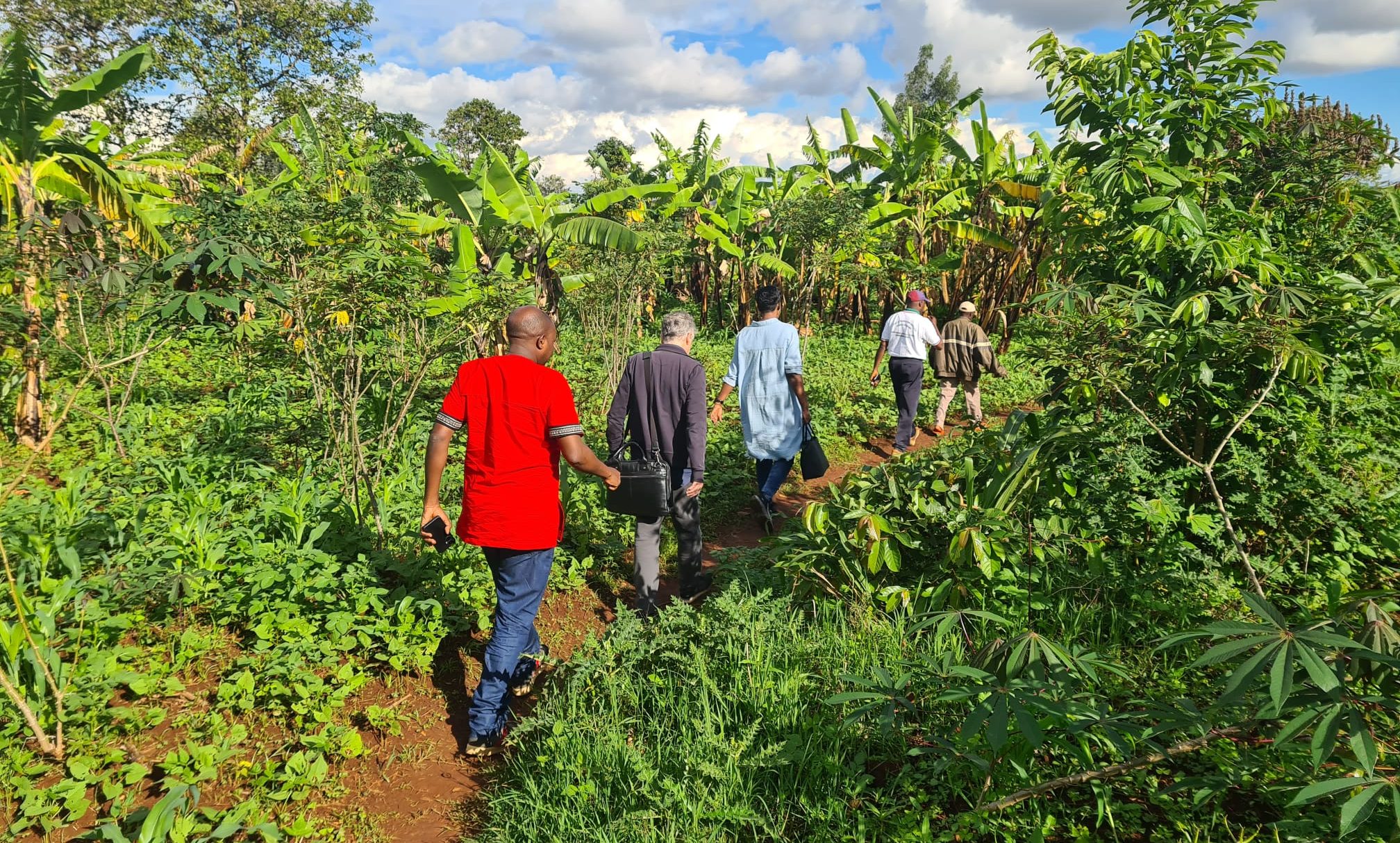 fieldwork kenya